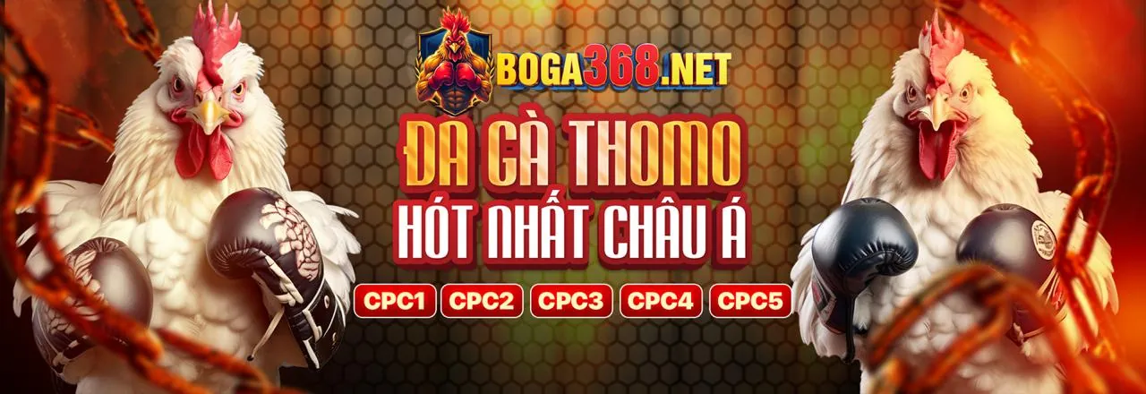 Đá gà trực tuyến tại i9bet121 win